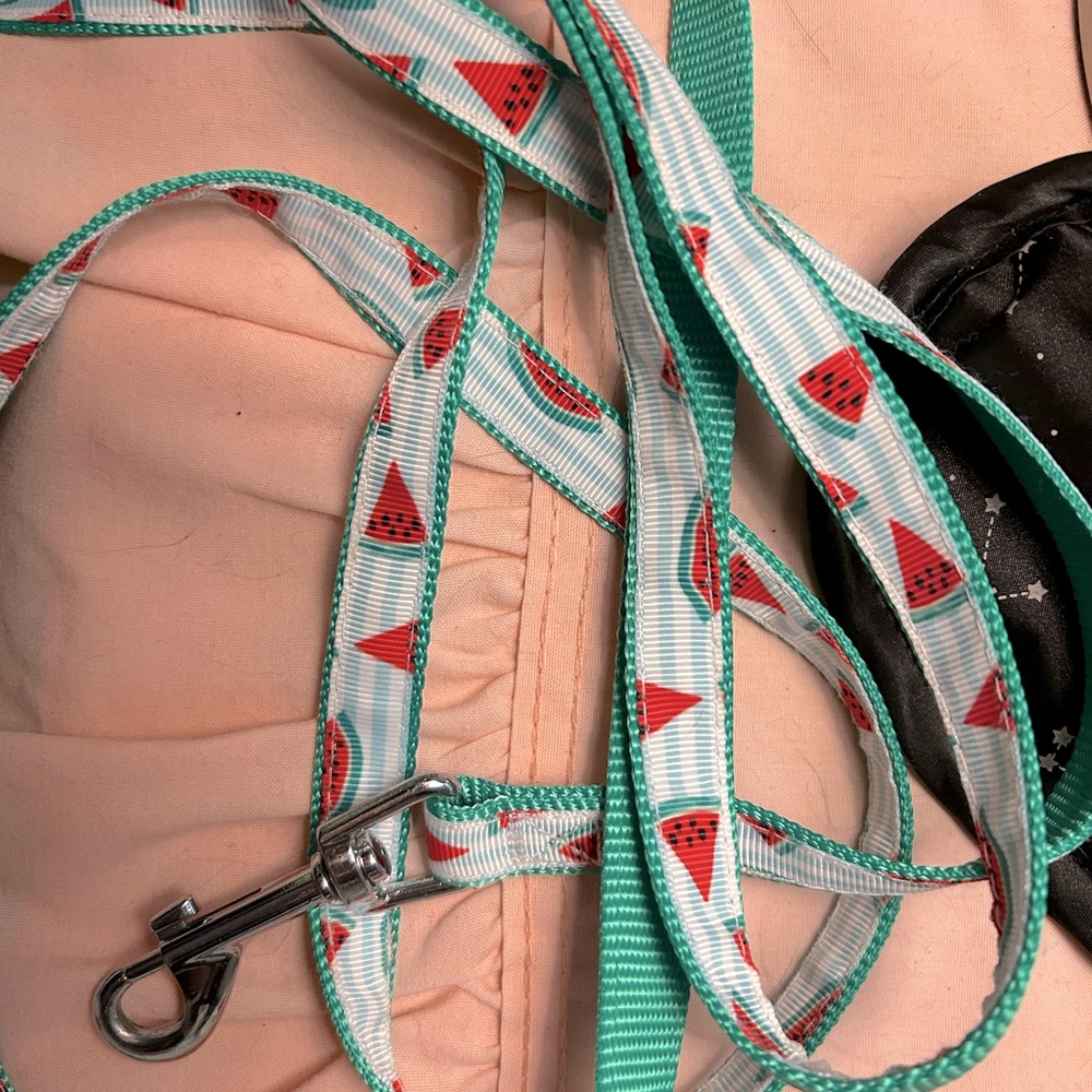 Watermelon dog leash 🍉